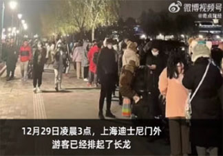 凌晨3点超5000人迪士尼排队买玩偶 为什么迪士尼玩偶这么火