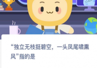 蚂蚁新村独立无枝挺碧空一头凤尾啸熏风指的是 12月29日答案