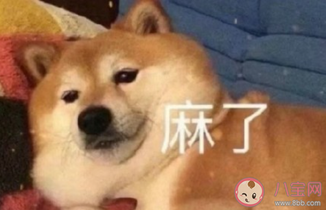 继承家业和追梦要如何选择 你选择家业还是为梦想打拼