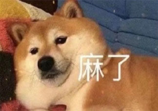 继承家业和追梦要如何选择 你选择家业还是为梦想打拼