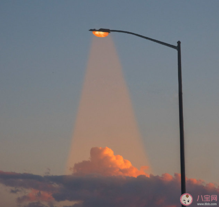 2022有什么高冷霸气的文案句子 霸气高冷的朋友圈经典语录大全 2022有什么高冷霸气的文案句子 霸气高冷的朋友圈经典语录大全