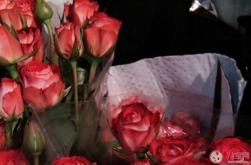 2022有什么高冷霸气的文案句子 霸气高冷的朋友圈经典语录大全 2022有什么高冷霸气的文案句子 霸气高冷的朋友圈经典语录大全