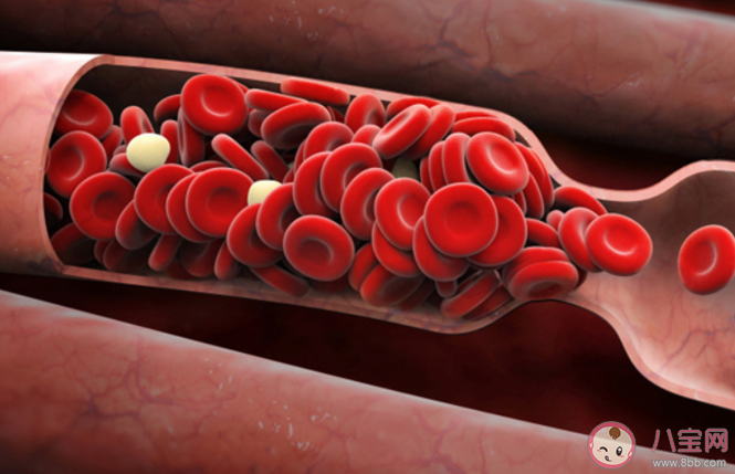 蚂蚁庄园1月5日答案：O型血真的是万能血吗