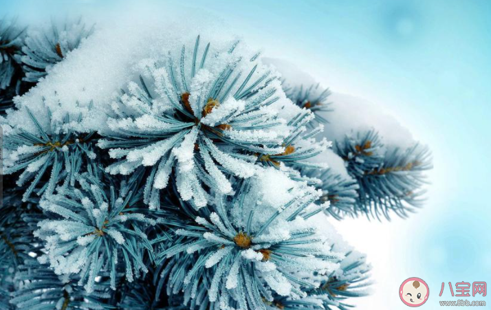 2022小寒节气图片祝福语朋友圈说说 2022小寒唯美图片问候语句子大全