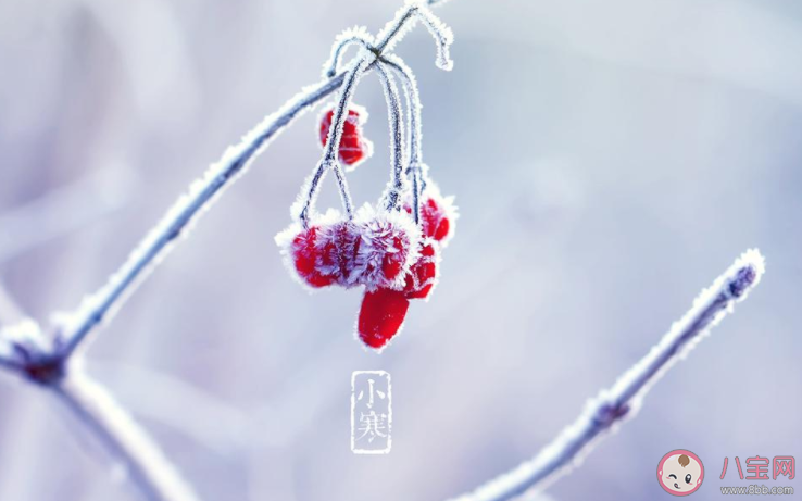 2022小寒节气图片祝福语朋友圈说说 2022小寒唯美图片问候语句子大全