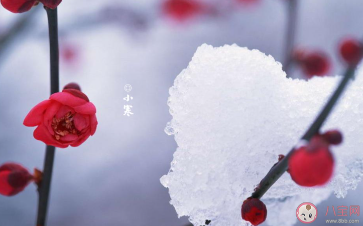 2022今日小寒早安心语发朋友圈句子 2022今日小寒早上问好的朋友圈说说