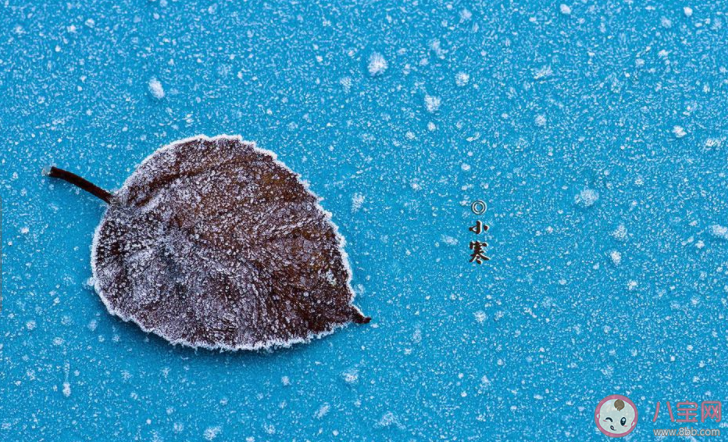 2022今日小寒早安心语发朋友圈句子 2022今日小寒早上问好的朋友圈说说