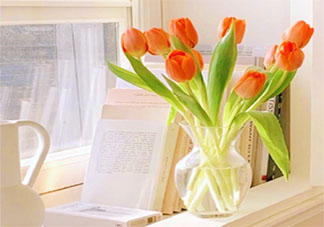 2022干净温暖治愈的小清新文案句子 2022干净治愈的文艺说说大全