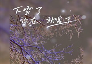 纪念2022年初雪的心情说说 2022年初雪来了的心情句子