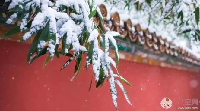 大寒一定比小寒更冷吗 蚂蚁新村1月5日答案最新