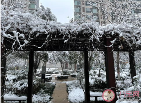 2022年第一场雪文案图片说说 2022年的第一场雪文案配图