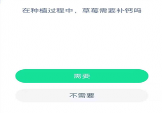 草莓种植过程中需不需要补钙 蚂蚁新村1月6日答案