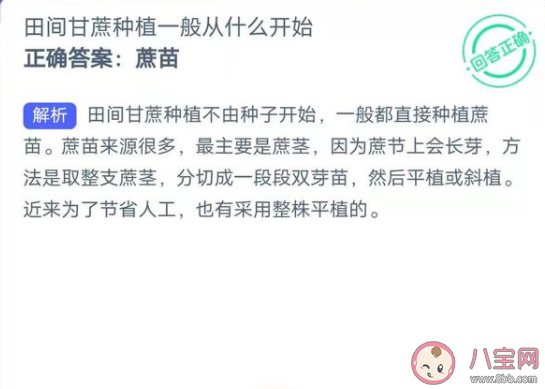 田间甘蔗种植一般从什么开始 蚂蚁新村1月7日答案