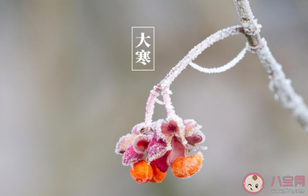 2022大寒节气早安心语文案精选 2022大寒节气早上问好的句子语录