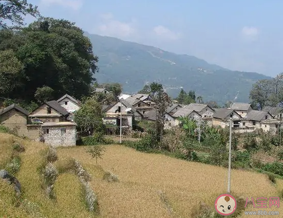 红河哈尼梯田世界文化遗产区5个申遗重点村落之一是 蚂蚁新村1月8日答案介绍