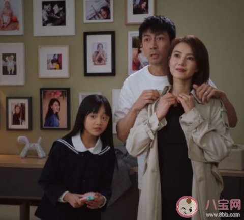 《完美伴侣》剧评怎么样 《完美伴侣》好不好看