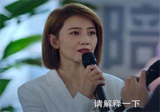 《完美伴侣》剧评怎么样 《完美伴侣》好不好看
