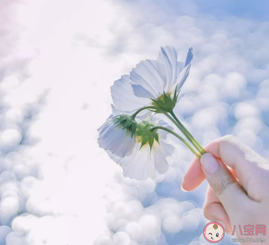 2022治愈人心的温暖文案句子 适合发朋友圈的治愈美好说说 2022治愈人心的温暖文案句子 适合发朋友圈的治愈美好说说