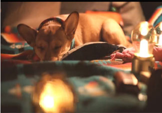 孤独和寂寞是一回事吗 怎样看待孤独和寂寞