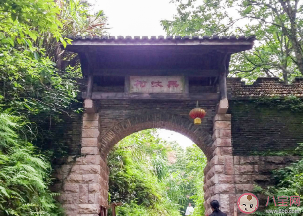 江西实现了夏天无蚊的无蚊村是哪个村 蚂蚁新村1月15日答案 江西实现了夏天无蚊的无蚊村是哪个村 蚂蚁新村1月15日答案