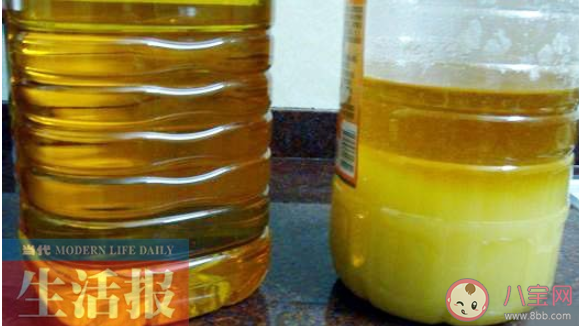 冬天花生油凝固是假油吗 花生油凝固成白色正常吗 冬天花生油凝固是假油吗 花生油凝固成白色正常吗