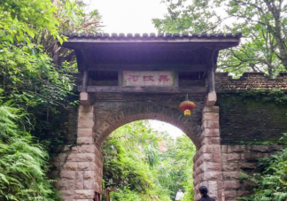 江西实现了夏天无蚊的无蚊村是哪个村 蚂蚁新村1月15日答案