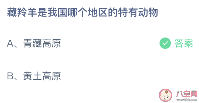 藏羚羊是我国哪个地区的特有动物 蚂蚁庄园1月18日答案介绍 藏羚羊是我国哪个地区的特有动物 蚂蚁庄园1月18日答案介绍