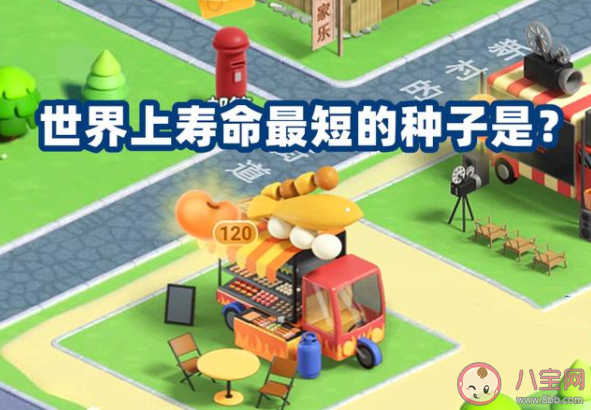 世界上寿命最短的种子是什么 蚂蚁新村1月17日正确答案 世界上寿命最短的种子是什么 蚂蚁新村1月17日正确答案