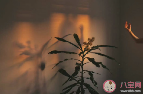 怎么看待情侣间的分享欲 情侣没有分享欲了怎么办 怎么看待情侣间的分享欲 情侣没有分享欲了怎么办