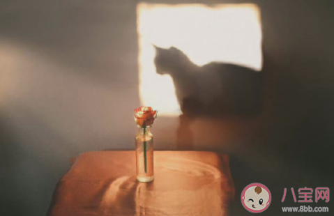 怎么看待情侣间的分享欲 情侣没有分享欲了怎么办 怎么看待情侣间的分享欲 情侣没有分享欲了怎么办