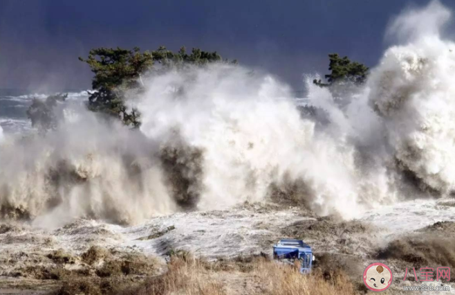 遇到海啸应如何避灾 海啸自救指南