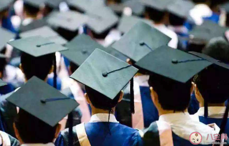 如何看待应届毕业生就业率低 为什么应届生找不到工作