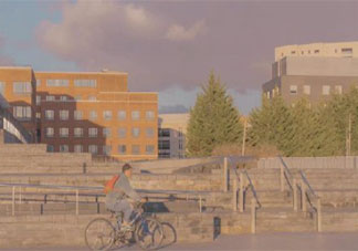 感情里真的有日久生情吗 日久生情的感情好吗