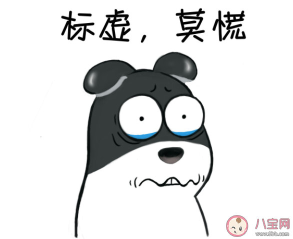 社杂青年是什么意思 如何看待社杂青年 社杂青年是什么意思 如何看待社杂青年