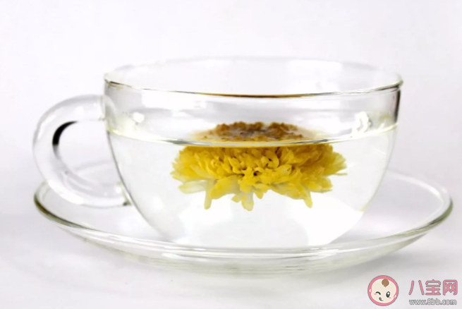 菊花茶泡久了变绿能喝吗 泡菊花茶的4个关键 菊花茶泡久了变绿能喝吗 泡菊花茶的4个关键