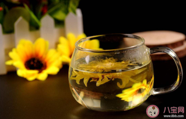 菊花茶泡久了变绿能喝吗 泡菊花茶的4个关键 菊花茶泡久了变绿能喝吗 泡菊花茶的4个关键