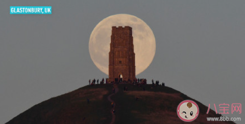 共情能力强的人在职场上有哪些优势 为什么有的人共情能力强 共情能力强的人在职场上有哪些优势 为什么有的人共情能力强