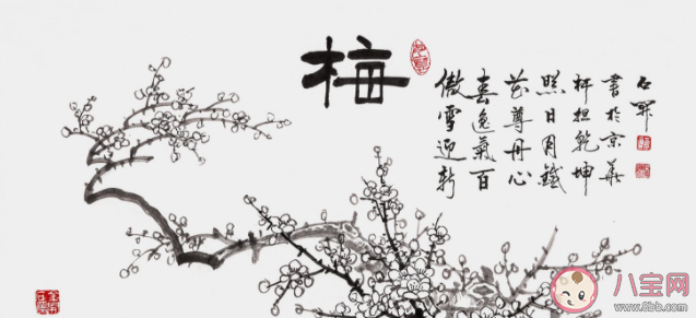 下列哪个植物不属于我国传统文化中的花中四君子 蚂蚁庄园1月21日答案