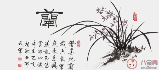 下列哪个植物不属于我国传统文化中的花中四君子 蚂蚁庄园1月21日答案