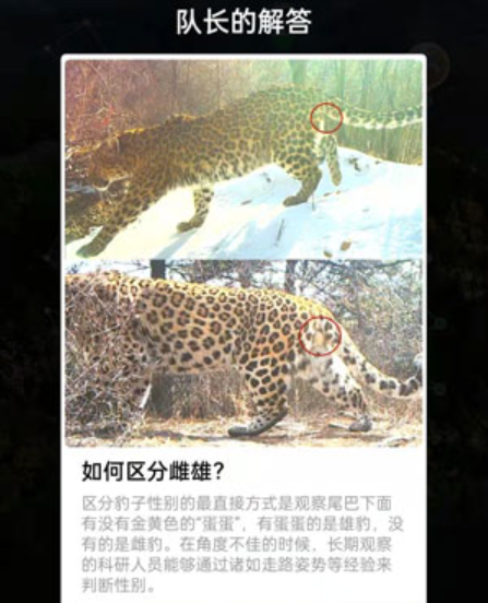 2022蚂蚁森林和顺保护地问题答案大全 和顺保护地答案完整版合集