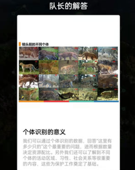 2022蚂蚁森林和顺保护地问题答案大全 和顺保护地答案完整版合集