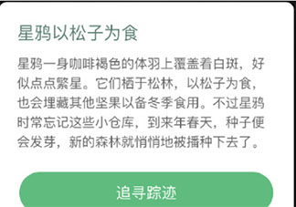 星鸦会像松鼠一样储存冬粮吗 蚂蚁森林汪清保护地答案