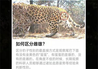 2022蚂蚁森林和顺保护地问题答案大全 和顺保护地答案完整版合集