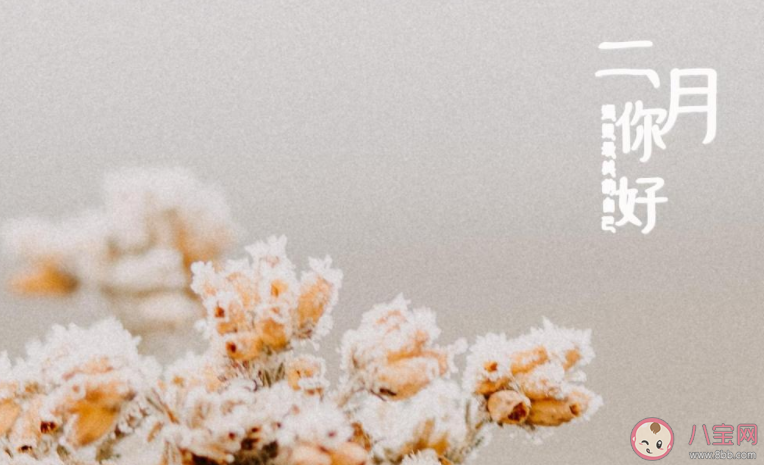 2022一月再见二月你好图片正能量说说 2022再见一月迎接二月的图片说说