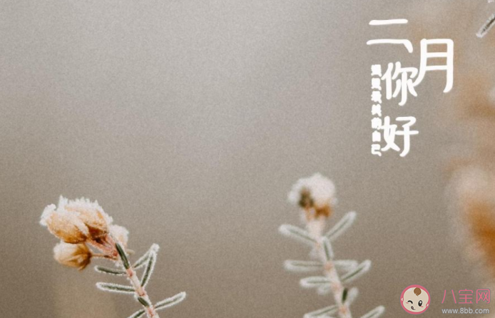 2022一月再见二月你好图片正能量说说 2022再见一月迎接二月的图片说说