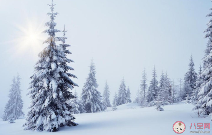 雪天路滑的暖心句子2022 雪天出行温馨提醒简短语录2022