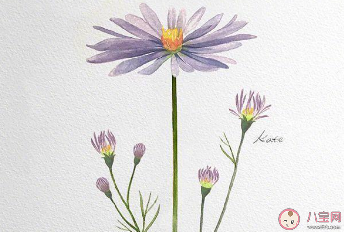 一句话送给刚入行的自己 你想对刚入行的自己说什么 一句话送给刚入行的自己 你想对刚入行的自己说什么