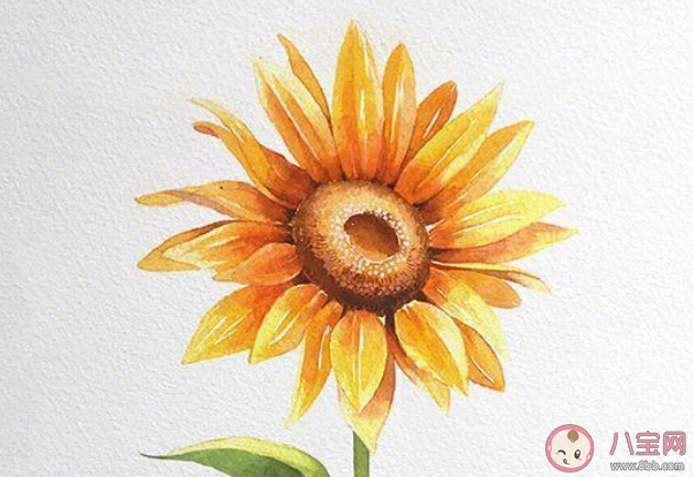 一句话送给刚入行的自己 你想对刚入行的自己说什么 一句话送给刚入行的自己 你想对刚入行的自己说什么