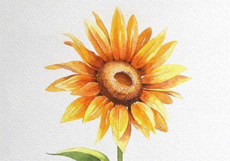 一句话送给刚入行的自己 你想对刚入行的自己说什么