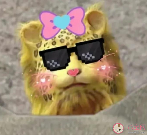 年轻人为什么热衷于暴富哲学 年轻人为了暴富究竟有多拼